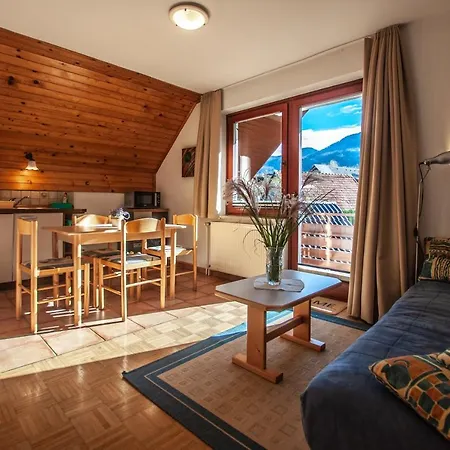 Apartment Alenka *