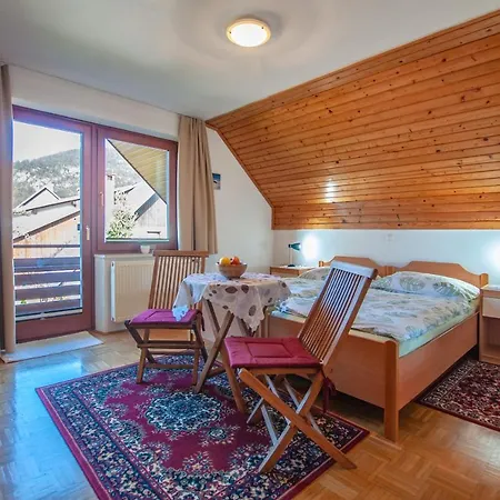 Apartment Alenka *