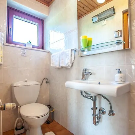 Apartma Alenka *