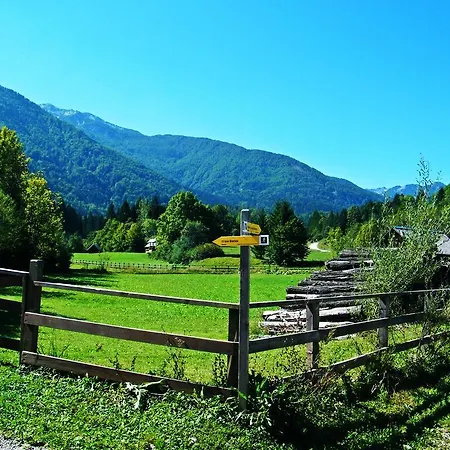 Apartamento Alenka *
