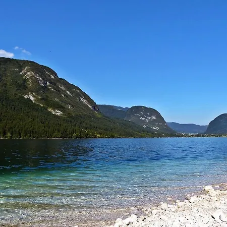 Apartman Alenka Bohinj