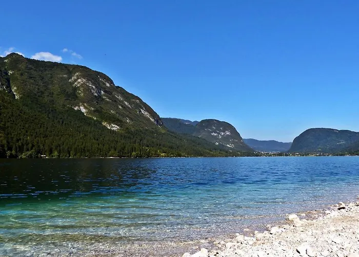 Apartma Alenka Bohinj